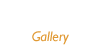 갤러리